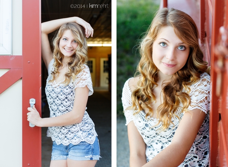 09senior_springfield_illinois_senior photographer_chatham glenwood high school_kim nehrt photography