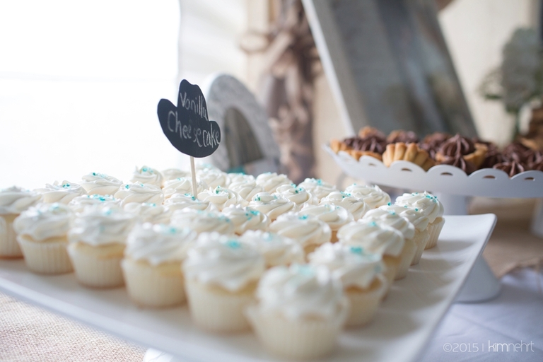 19aubreyscott-springfield-illinois-wedding-photographer